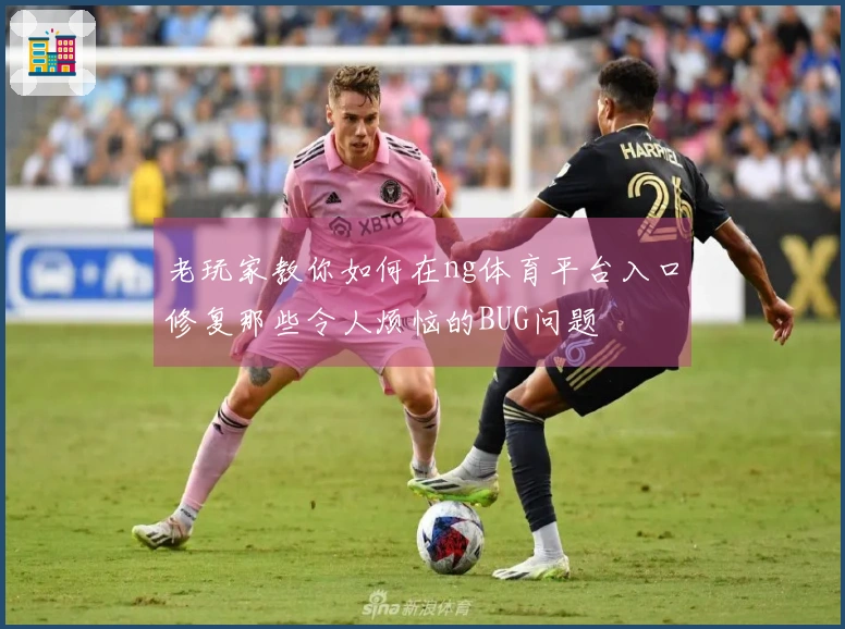 老玩家教你如何在ng体育平台入口修复那些令人烦恼的BUG问题